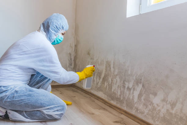 Black mold inspection in Capron
