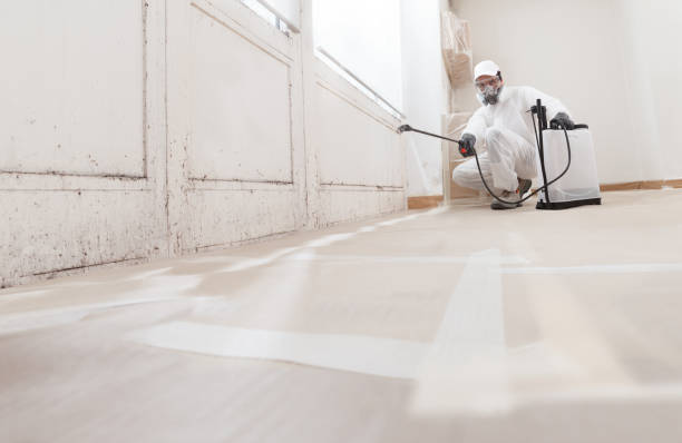 Black mold remediation team in Capron